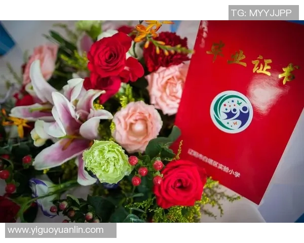 与杨磊畅谈王者荣耀职业生涯的点滴与成长之路