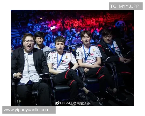 奋战赛场EDG的荣耀与坚持DOTA2总决赛纪实回顾 奋战赛场EDG的荣耀与坚持DOTA2总决赛纪实回顾
